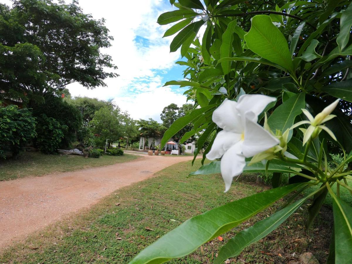 Naracha Resort Mueang Kao Dış mekan fotoğraf