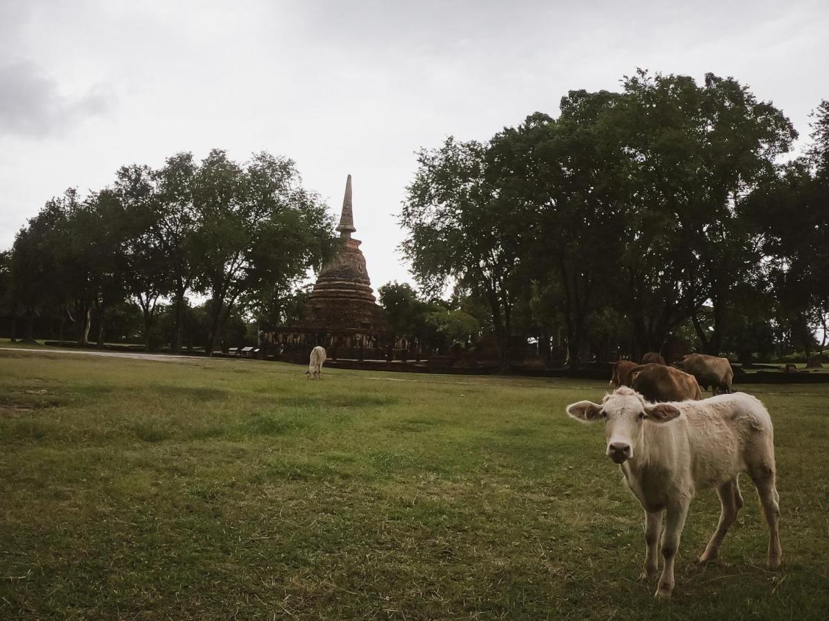Naracha Resort Mueang Kao Dış mekan fotoğraf