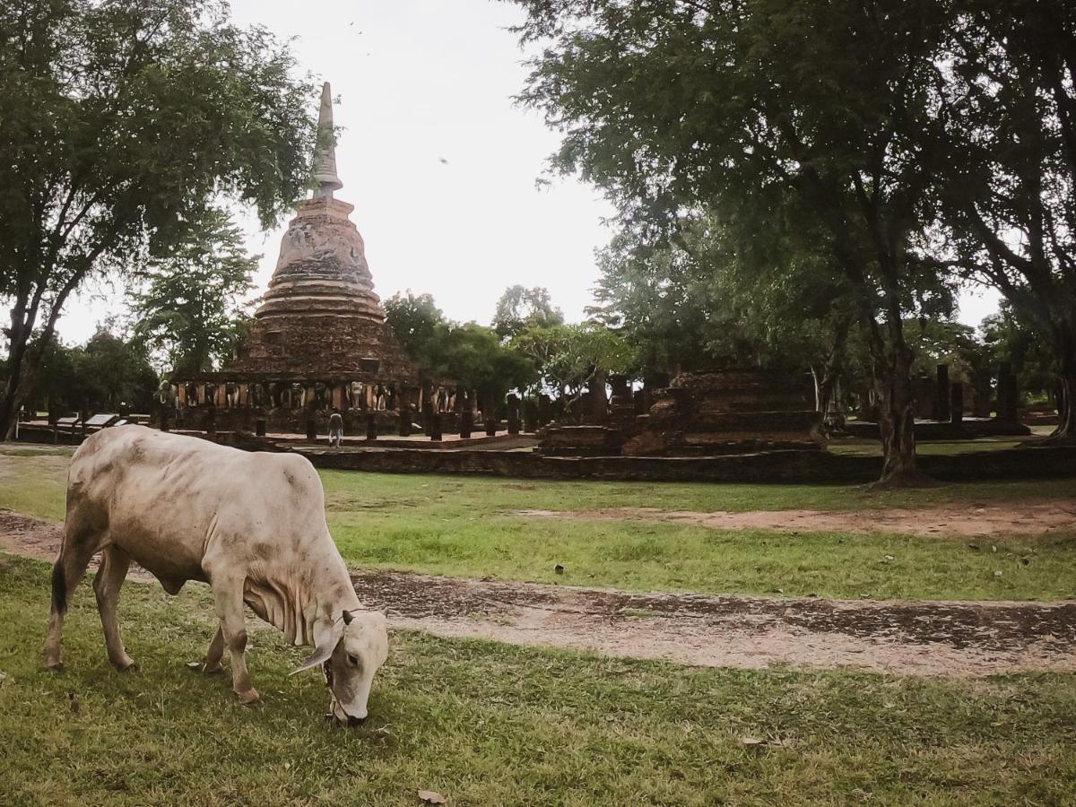Naracha Resort Mueang Kao Dış mekan fotoğraf